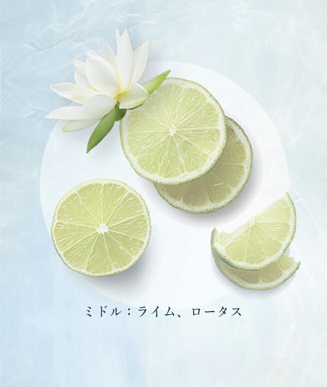 [Official] ONSENSOU Golden Silk Hair Mask & Brush 2-piece Set